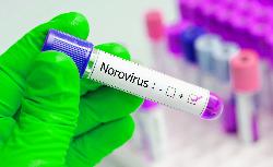 Профилактика норовирусной инфекции